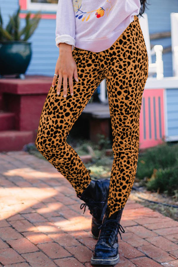 leopard track pants