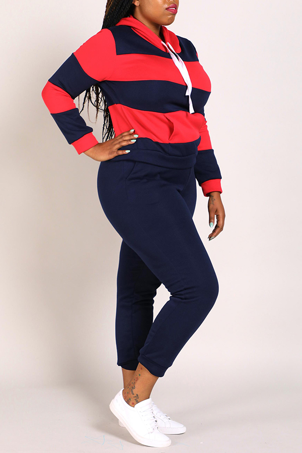 navy blue plus size pants