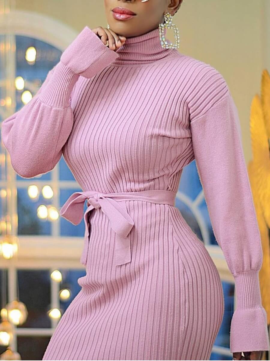 Lovely Trendy Turtleneck Striped Pink Knee Length DressLW Fashion